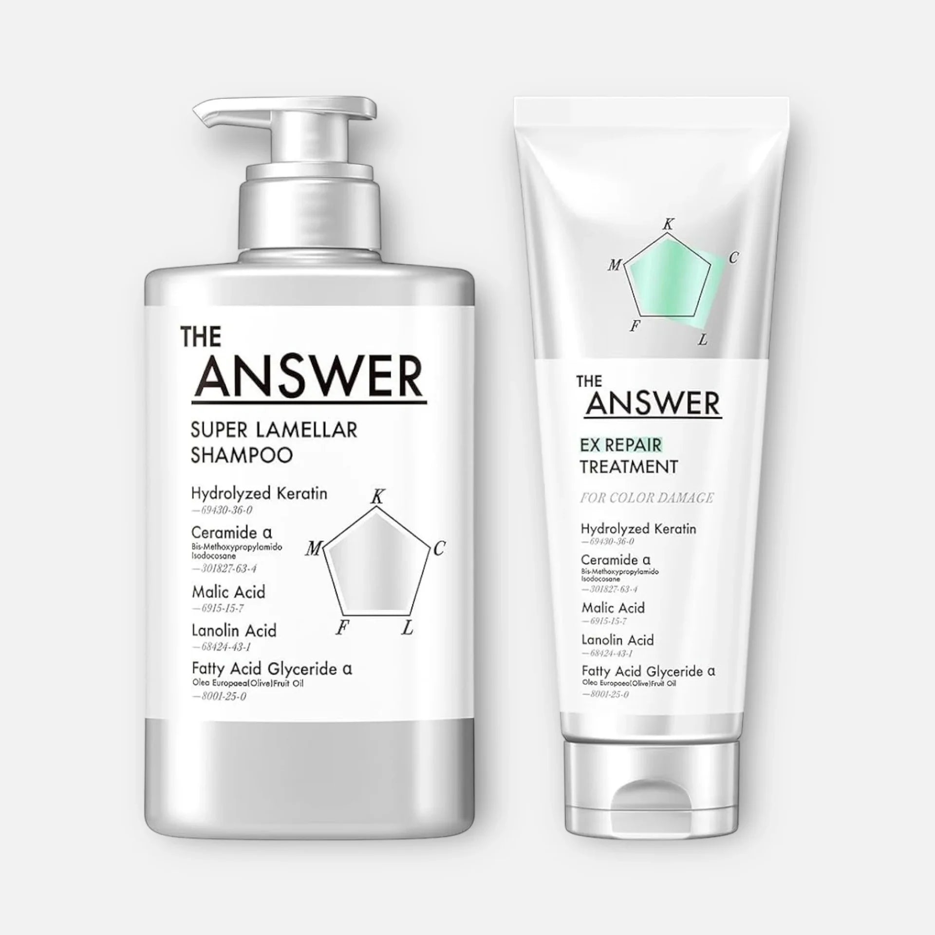 The Answer Super Lamellar Shampoo & EX Repair Treatment (400ml & 220g)